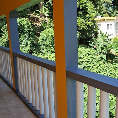 Viva Violas Port Antonio Exterior foto