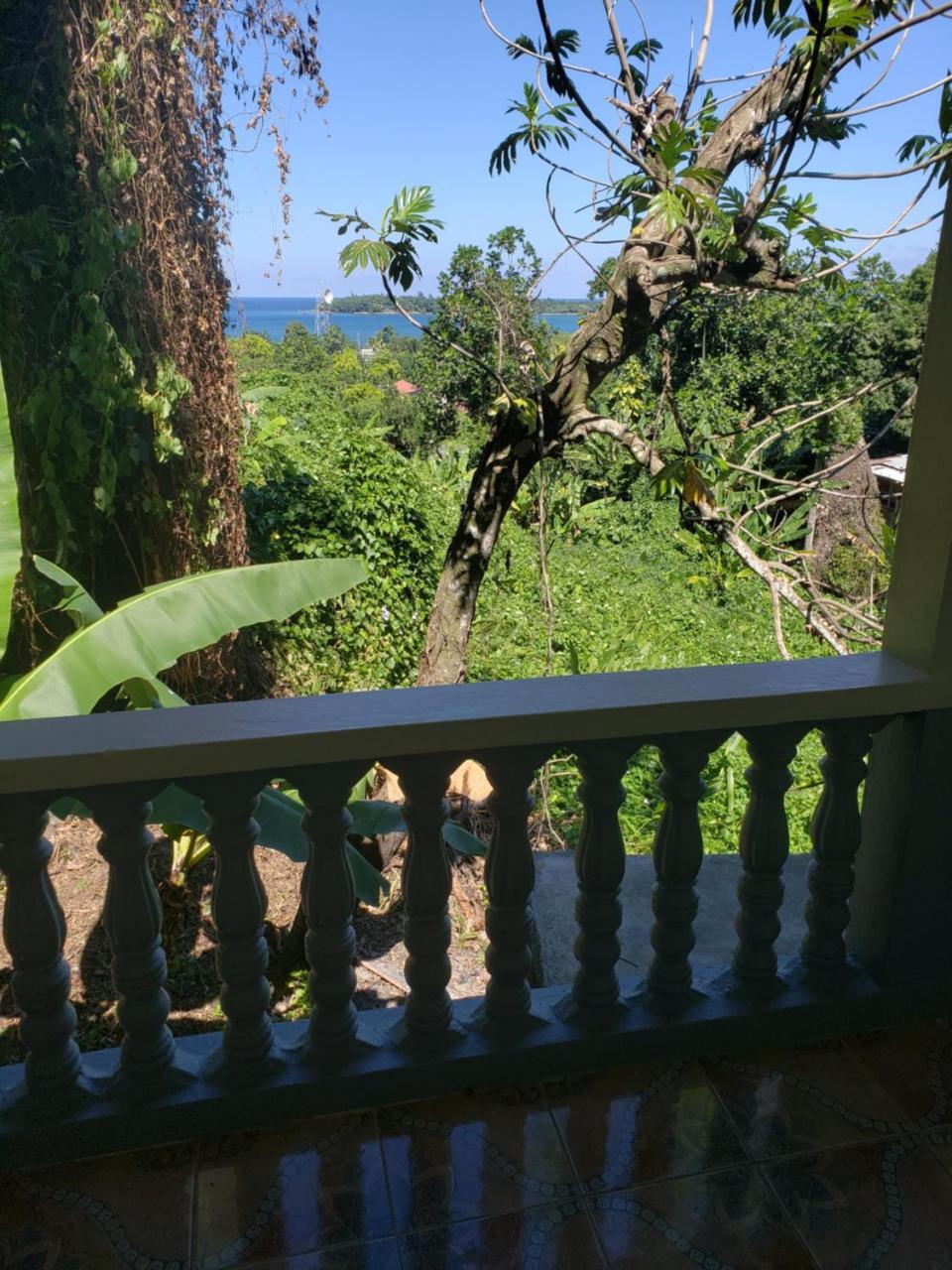 Viva Violas Port Antonio Exterior foto
