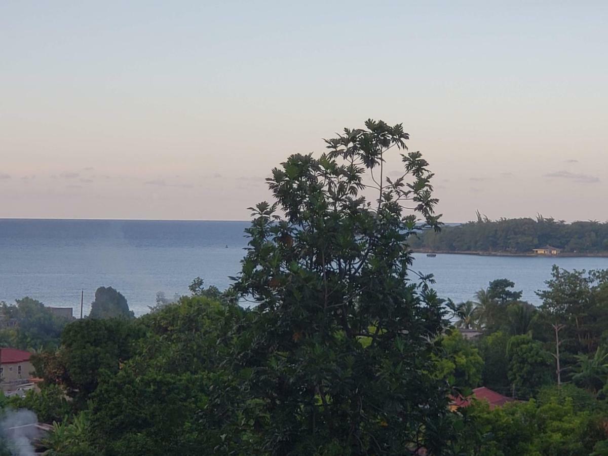 Viva Violas Port Antonio Exterior foto
